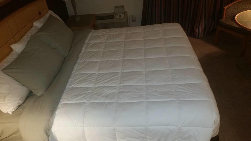 Canadas Best Value Inn Welland Luaran gambar